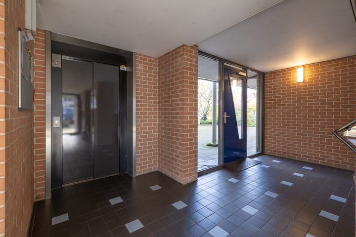 Foto 4 van Aalscholver 23