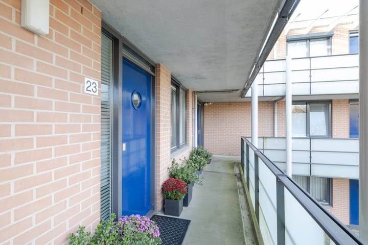 Foto 5 van Aalscholver 23