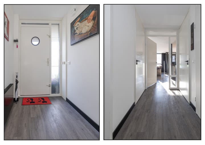 Foto 6 van Aalscholver 23