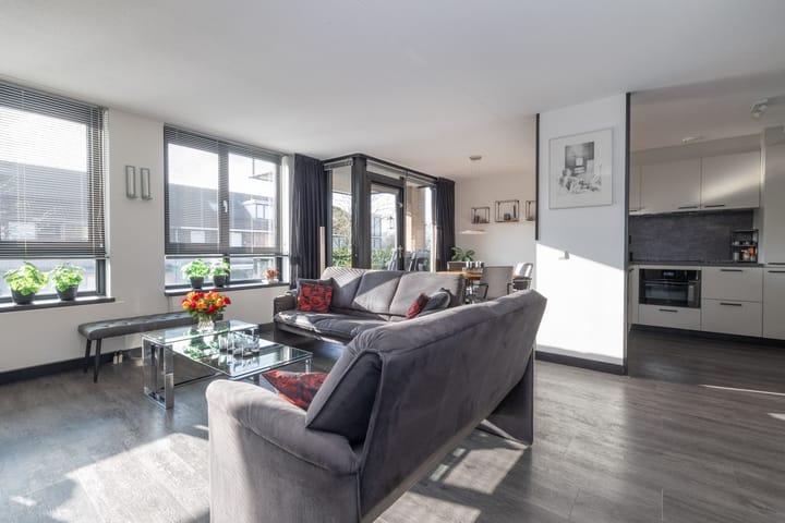 Foto 7 van Aalscholver 23