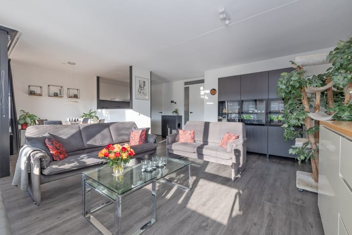 Foto 9 van Aalscholver 23