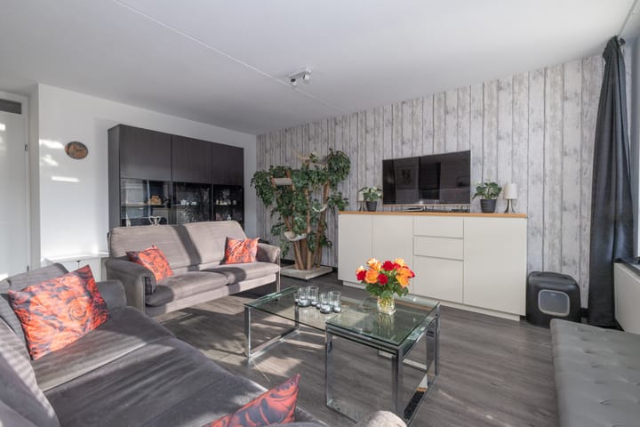 Foto 10 van Aalscholver 23