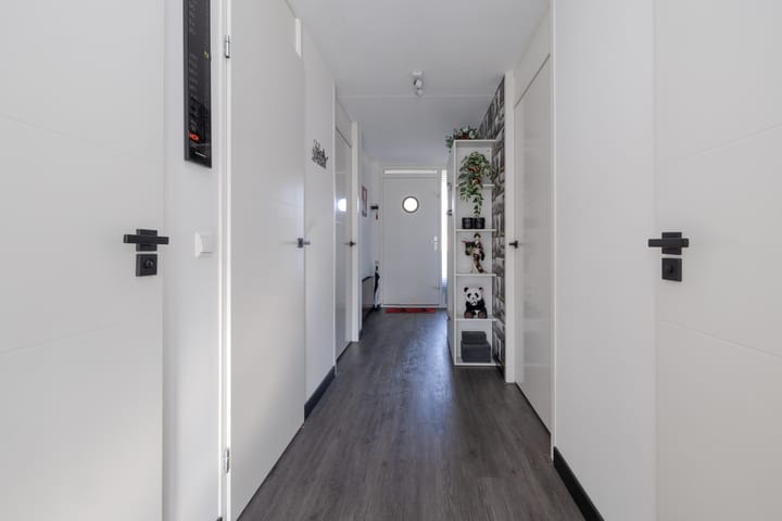 Foto 15 van Aalscholver 23