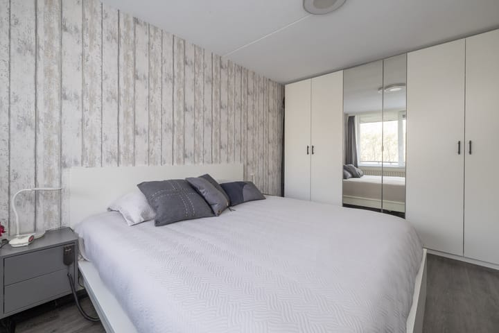 Foto 17 van Aalscholver 23