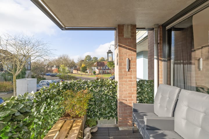 Foto 21 van Aalscholver 23