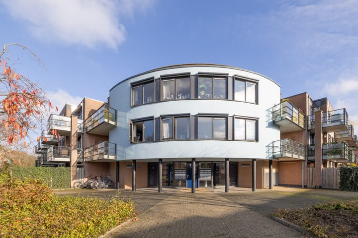 Foto 22 van Aalscholver 23