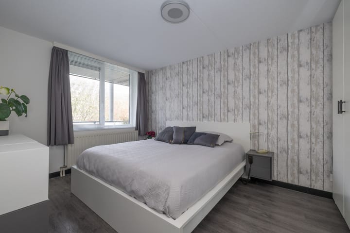 Foto 16 van Aalscholver 23