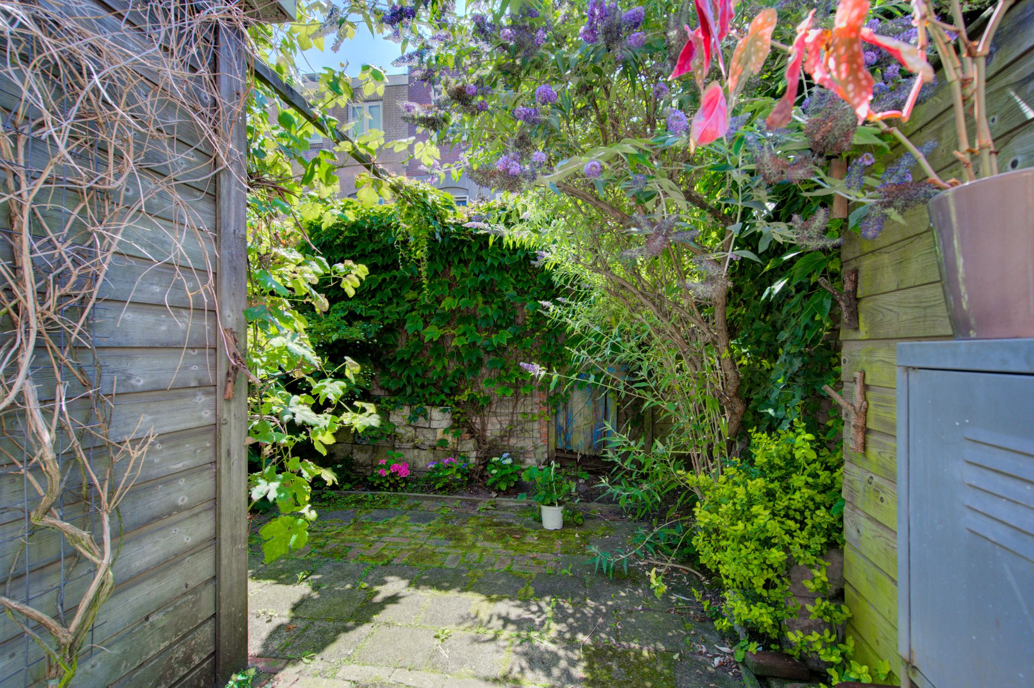 Foto 24 van Papaverstraat 36