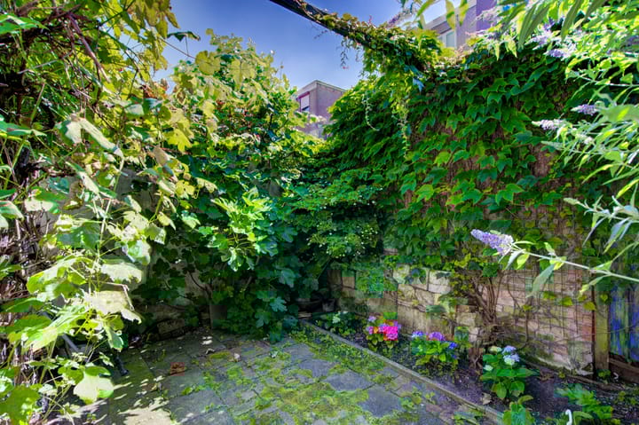 Foto 26 van Papaverstraat 36