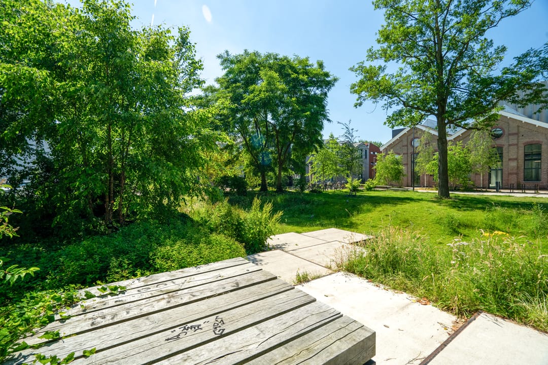 Foto 43 van Papaverstraat 36