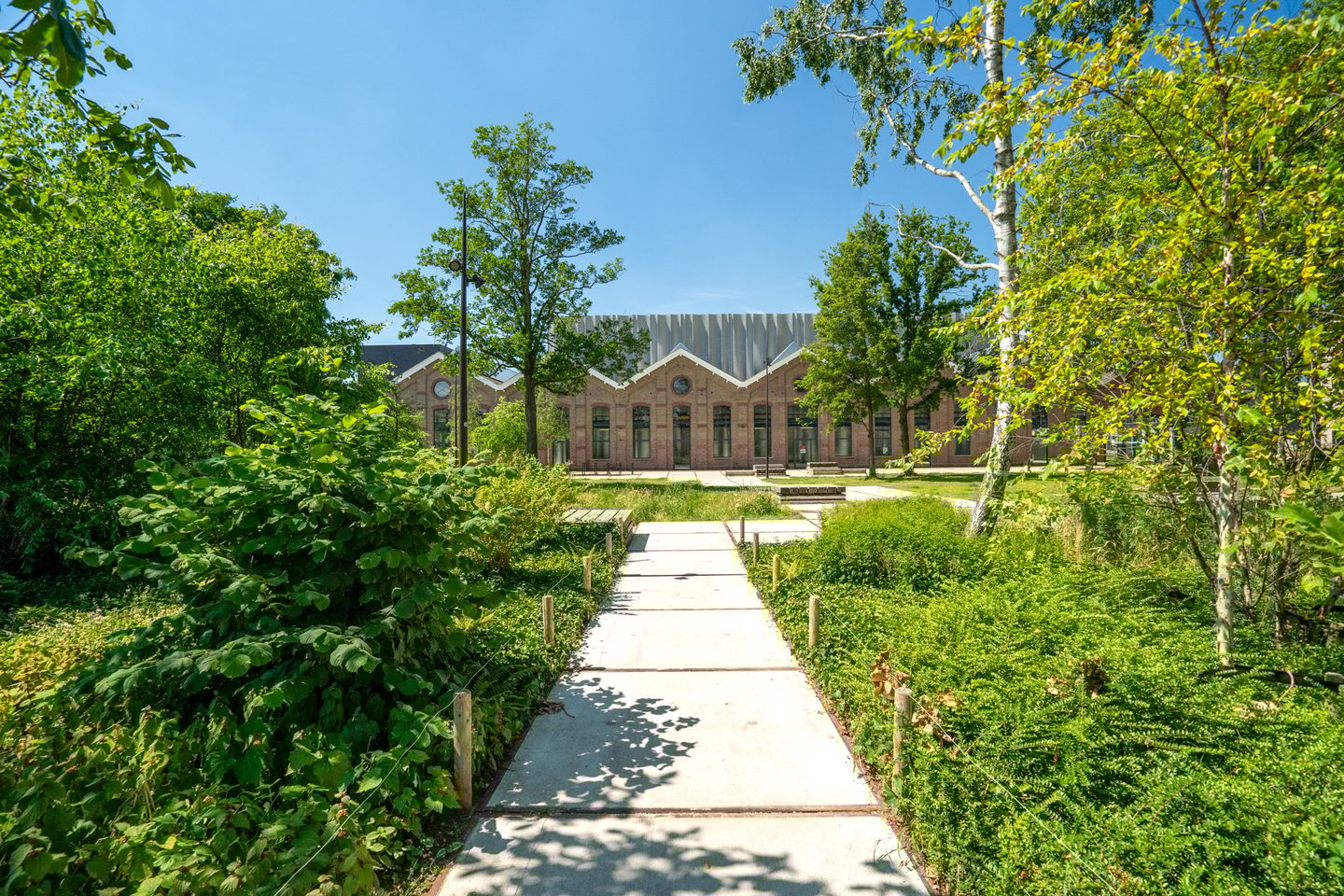 Foto 44 van Papaverstraat 36