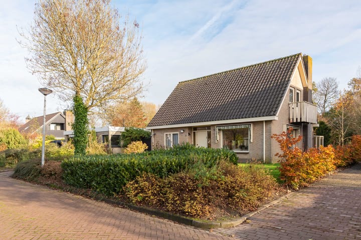 Foto 3 van Leeuwetand 15