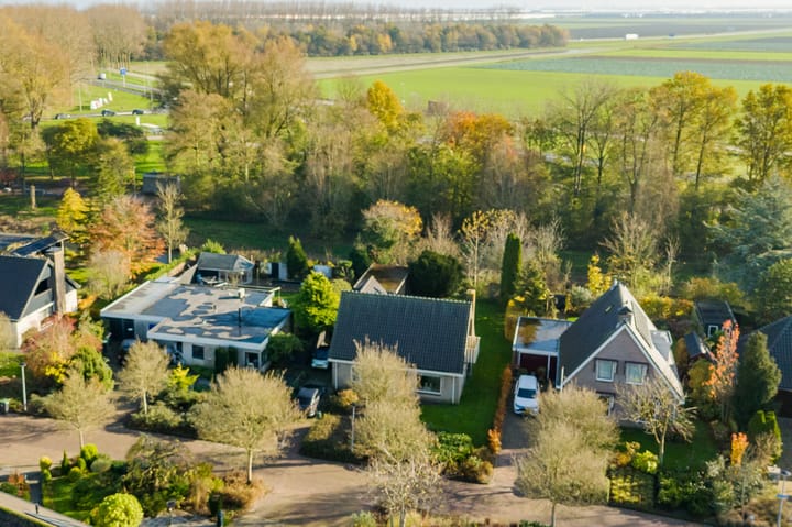 Foto 5 van Leeuwetand 15