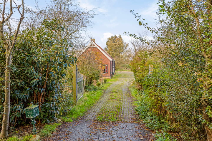 Foto 5 van Duindijk 1