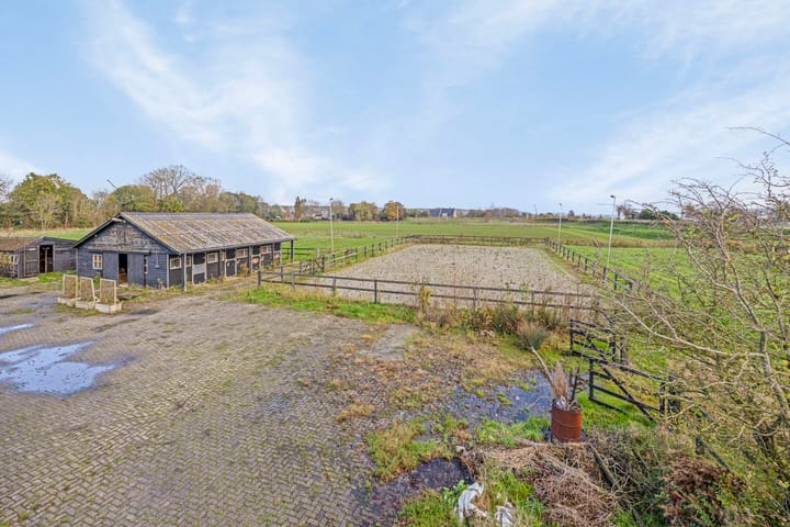 Foto 6 van Duindijk 1