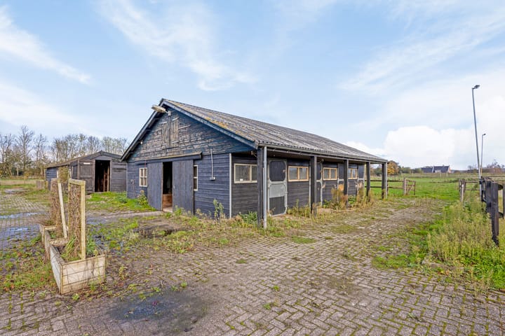 Foto 7 van Duindijk 1