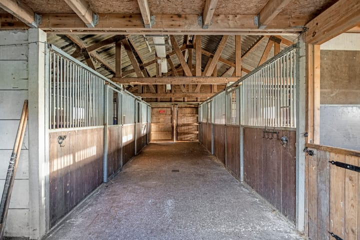 Foto 8 van Duindijk 1