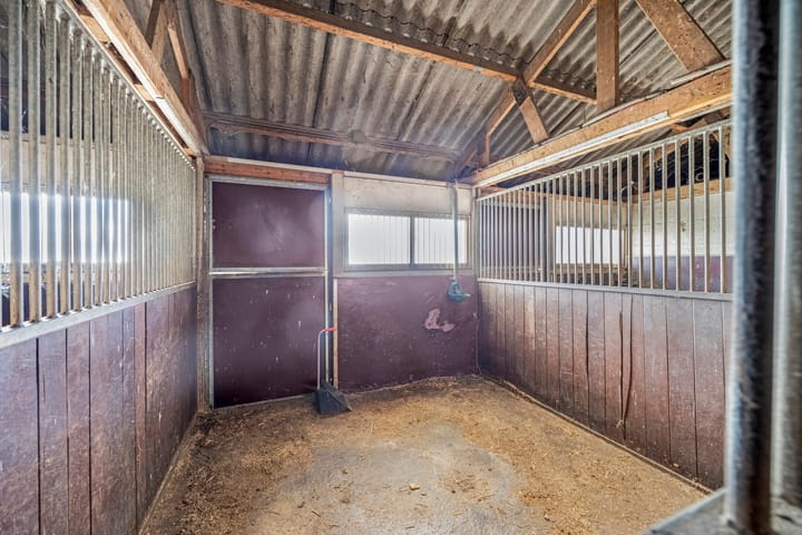 Foto 9 van Duindijk 1