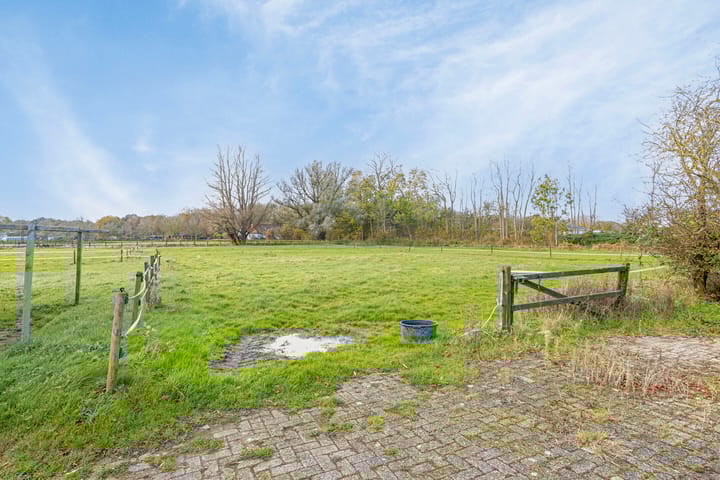 Foto 28 van Duindijk 1