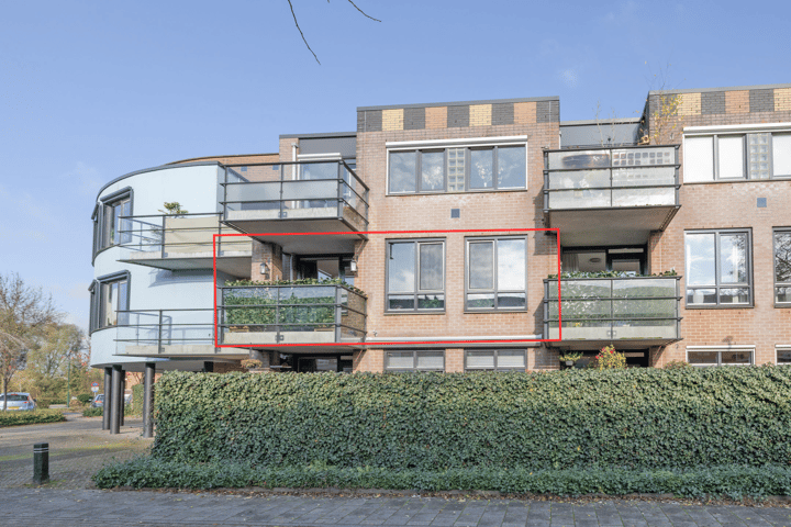 Foto 2 van Aalscholver 23