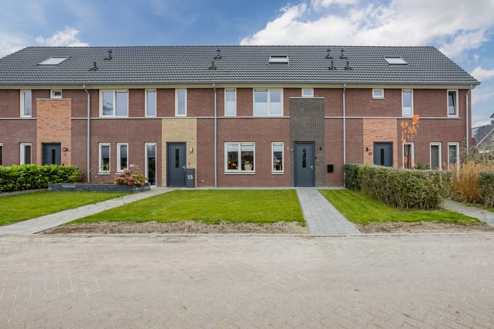 Photo 1 of Pimpernel 15