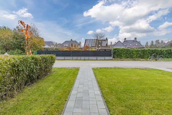 Photo 6 of Pimpernel 15