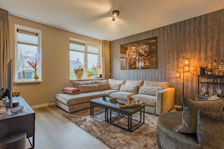 Photo 8 of Pimpernel 15