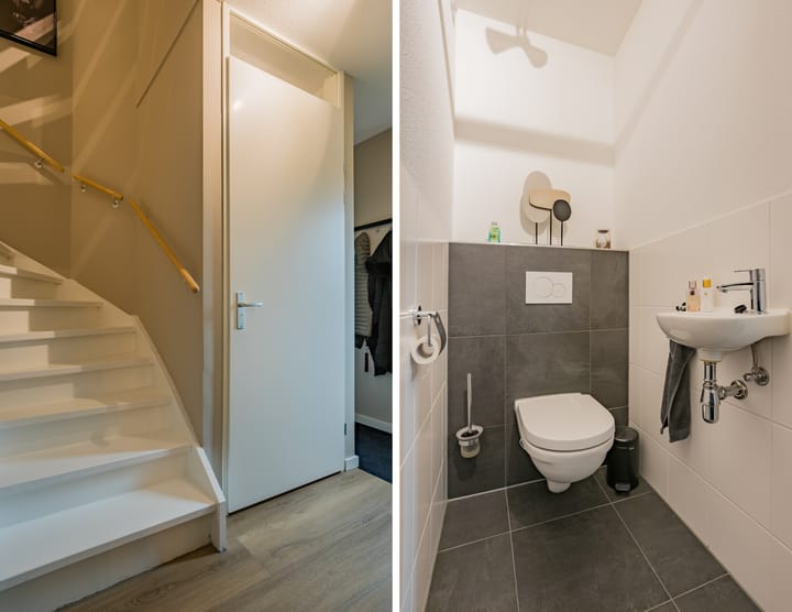 Photo 22 of Pimpernel 15