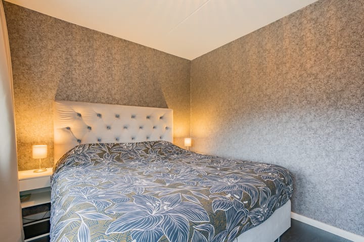 Photo 24 of Pimpernel 15