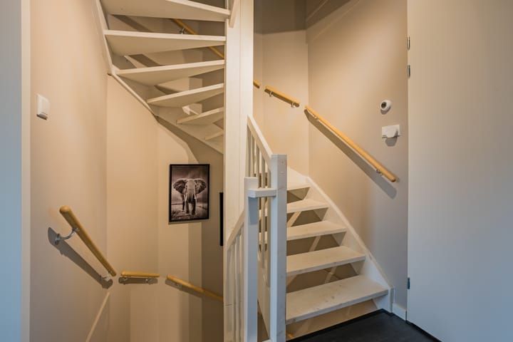 Photo 31 of Pimpernel 15