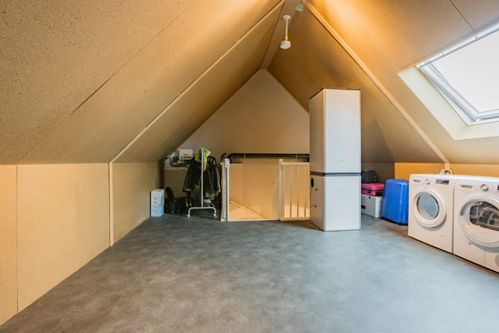 Photo 36 of Pimpernel 15