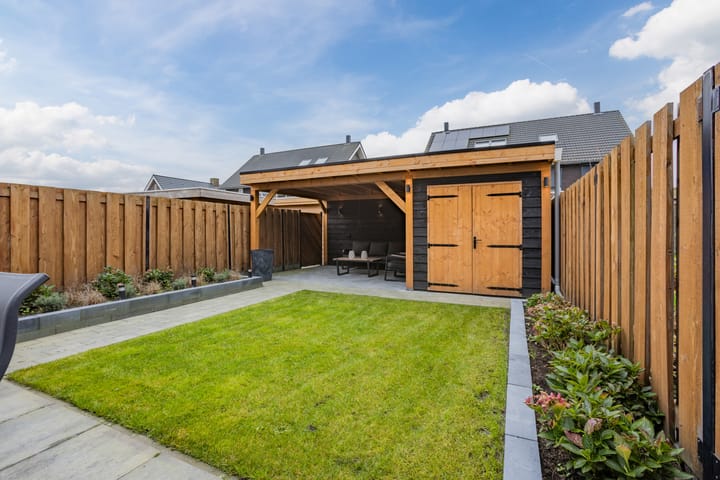 Photo 37 of Pimpernel 15