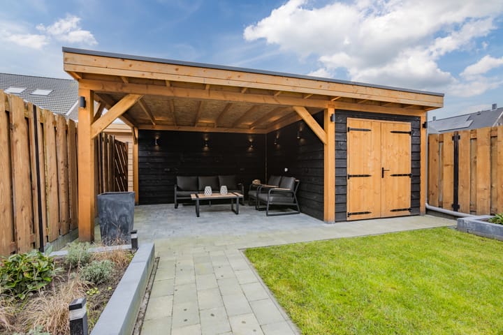 Photo 38 of Pimpernel 15