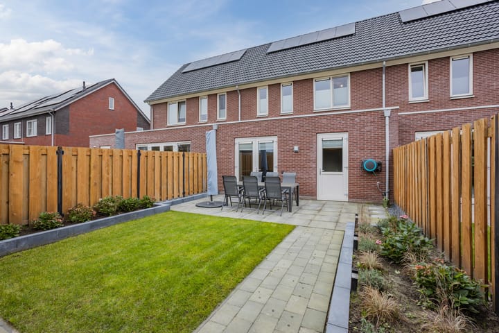 Photo 41 of Pimpernel 15