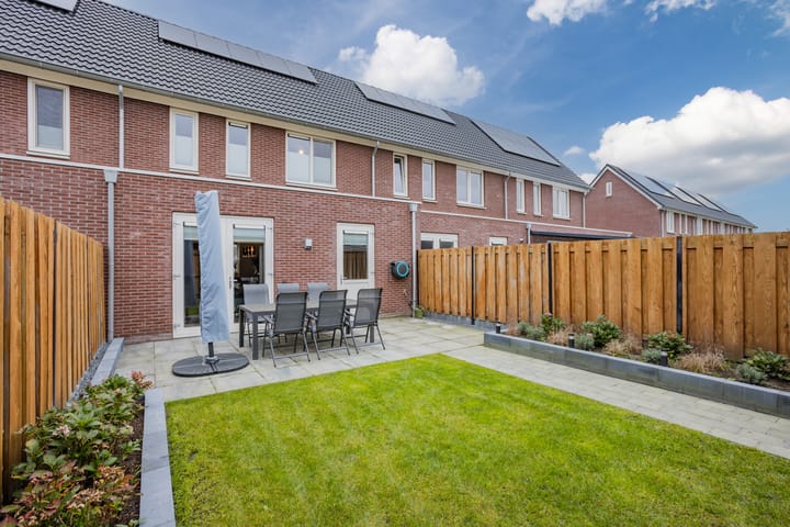 Photo 42 of Pimpernel 15