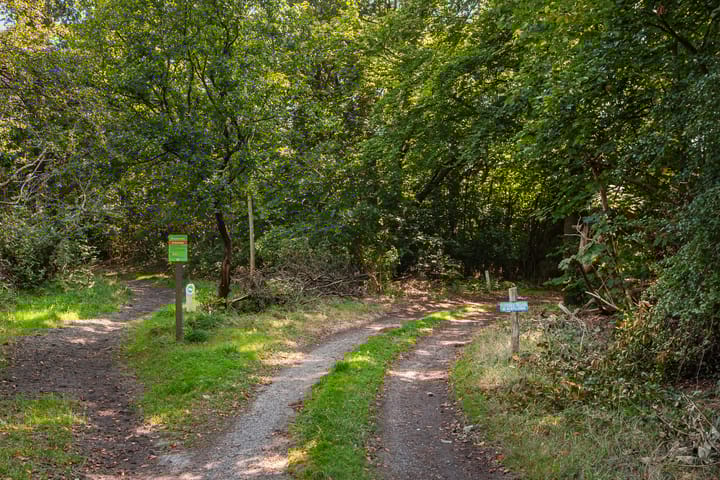 Foto 14 van Duinstraat 7