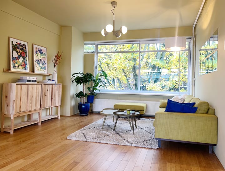 Van der Horststraat 11-F