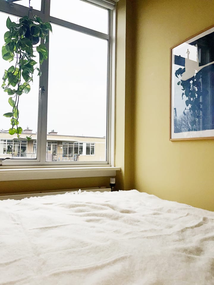 Foto 21 van Van der Horststraat 11-F