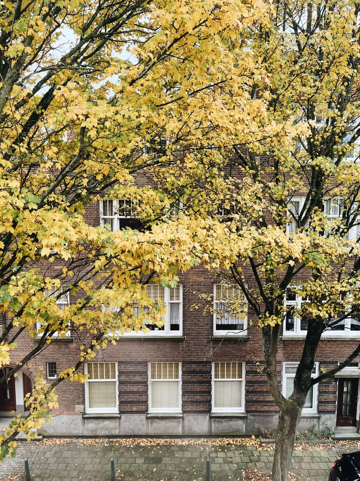 Foto 28 van Van der Horststraat 11-F