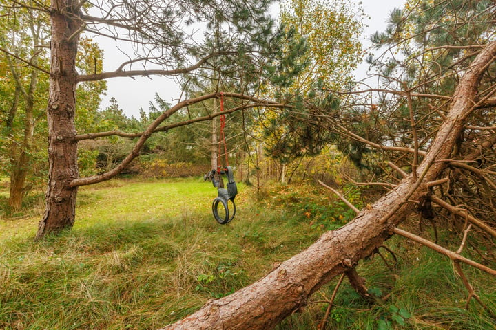 Bekijk foto 35 van Heideduuntjes 1