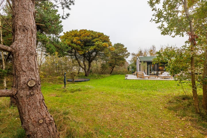 Foto 36 van Heideduuntjes 1