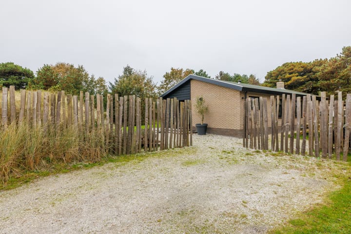 Foto 45 van Heideduuntjes 1