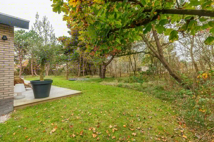 Foto 48 van Heideduuntjes 1