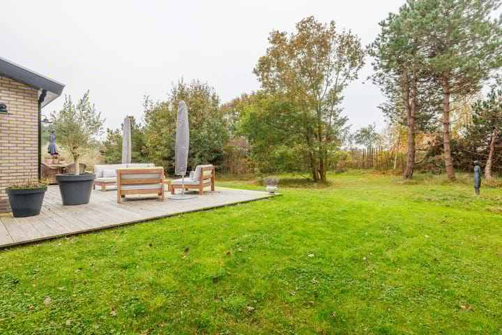 Foto 51 van Heideduuntjes 1