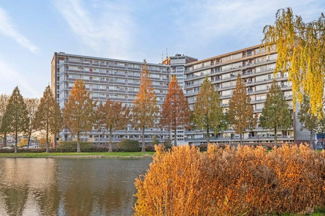 Foto 22 van Vrijheer van Eslaan 457