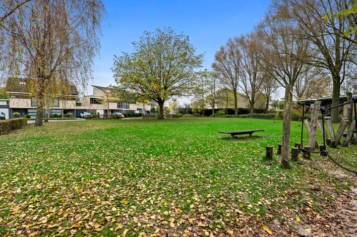 Foto 55 van Witmolen 58