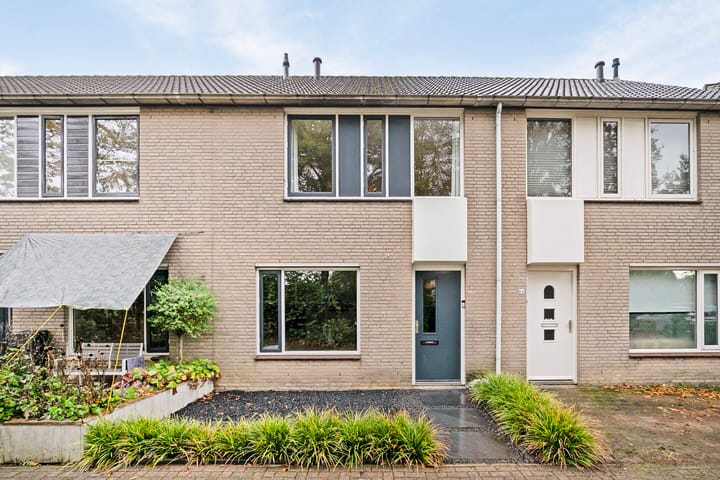 Foto 2 van Dilleveld 85