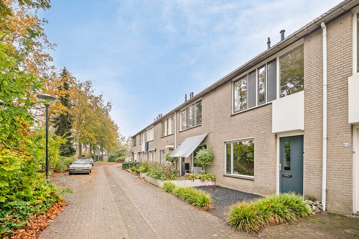 Foto 3 van Dilleveld 85