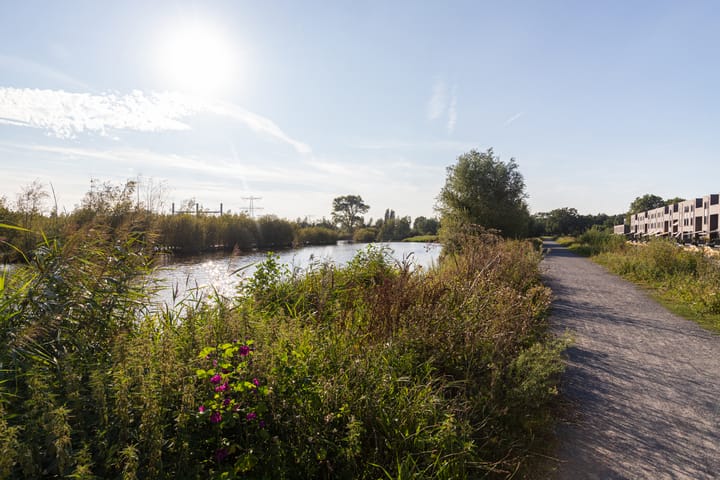 Foto 48 van Priemkruid 29