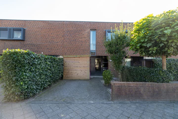 Foto 50 van Priemkruid 29